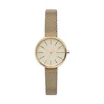 Relógio Skagen Dourado - SKW2614/4DN