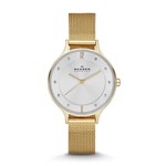 Ficha técnica e caractérísticas do produto Relógio Skagen Feminino Dourado Anita - SKW2150/4KN