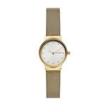 Ficha técnica e caractérísticas do produto Relógio Skagen Feminino Freja Dourado - SKW2717/1DN