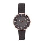 Ficha técnica e caractérísticas do produto Relógio Skagen Feminino Gitte - SKW2613/0CN