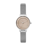 Ficha técnica e caractérísticas do produto Relógio Skagen Feminino Prata Anita - SKW2649/1BN