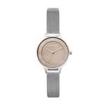 Ficha técnica e caractérísticas do produto Relógio Skagen Feminino Prata Anita