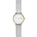 Ficha técnica e caractérísticas do produto Relógio Skagen Feminino Signatur Dourado SKW2729/1KN