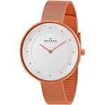 Ficha técnica e caractérísticas do produto Relógio Skagen Feminino SKW2142/Z