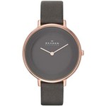 Ficha técnica e caractérísticas do produto Relógio Skagen Feminino Slim Analógico SKW2216/2CL