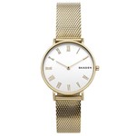 Ficha técnica e caractérísticas do produto Relógio Skagen Feminino Slim Analógico SKW2713/1DN