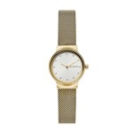 Ficha técnica e caractérísticas do produto Relógio Skagen Feminino Slim Analógico SKW2717/1DN