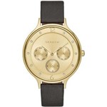 Ficha técnica e caractérísticas do produto Relógio Skagen Feminino Slim Multifunção Analógico SKW2393/2DN