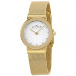 Ficha técnica e caractérísticas do produto Relógio Skagen Ladies Feminino 358SGGD/4DN