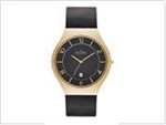 Ficha técnica e caractérísticas do produto Relógio Skagen Masculino Grenen SKW6145/Z