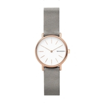 Ficha técnica e caractérísticas do produto Relógio Skagen Signatur Feminino - SKW2697/1CN