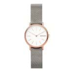 Ficha técnica e caractérísticas do produto Relógio Skagen Signatur Rosé SKW2697/1CN 1886797