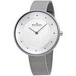 Ficha técnica e caractérísticas do produto Relógio Skagen - SKW2140/Z