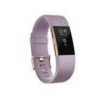 Ficha técnica e caractérísticas do produto Relogio Smartwatch Fitbit Charge 2 Edicion Especial (L) Lavanda / Ouro...