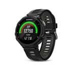 Ficha técnica e caractérísticas do produto Reloj Garmin Forerunner 735xt