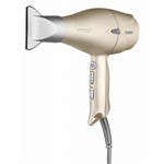 Secador de Cabelo Taiff Fox Íon 2 2200W - 110V